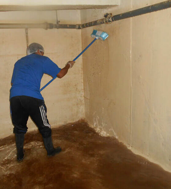 galli limpeza de caixa